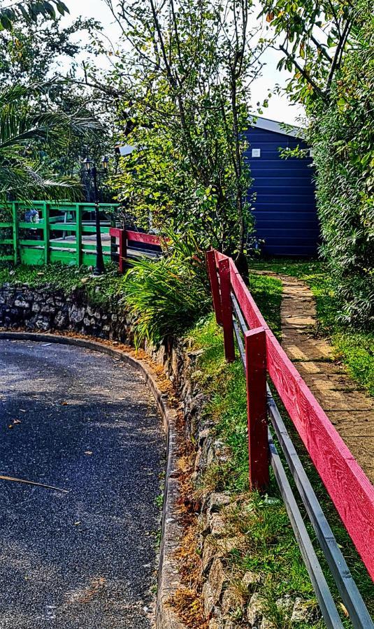 Palm Cottage Redruth Eksteriør bilde